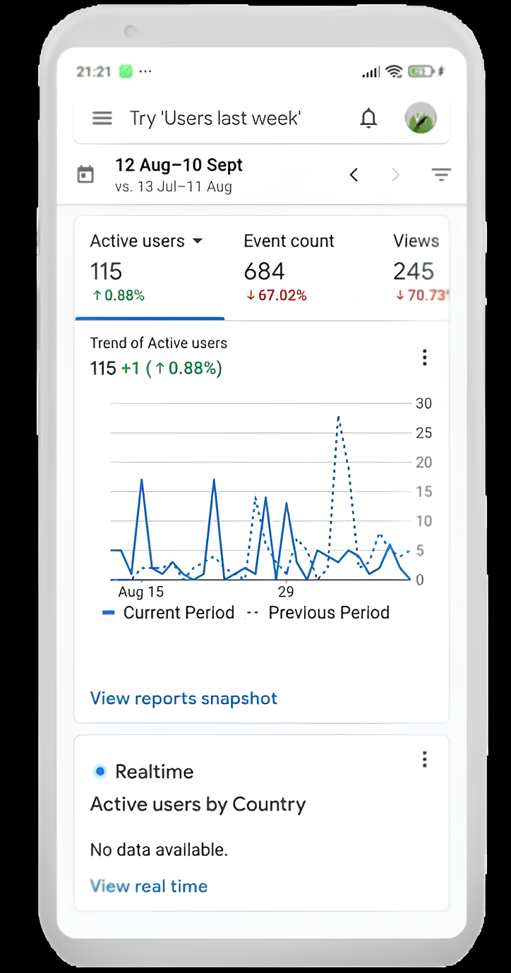 Google analytic dashboard<br />
